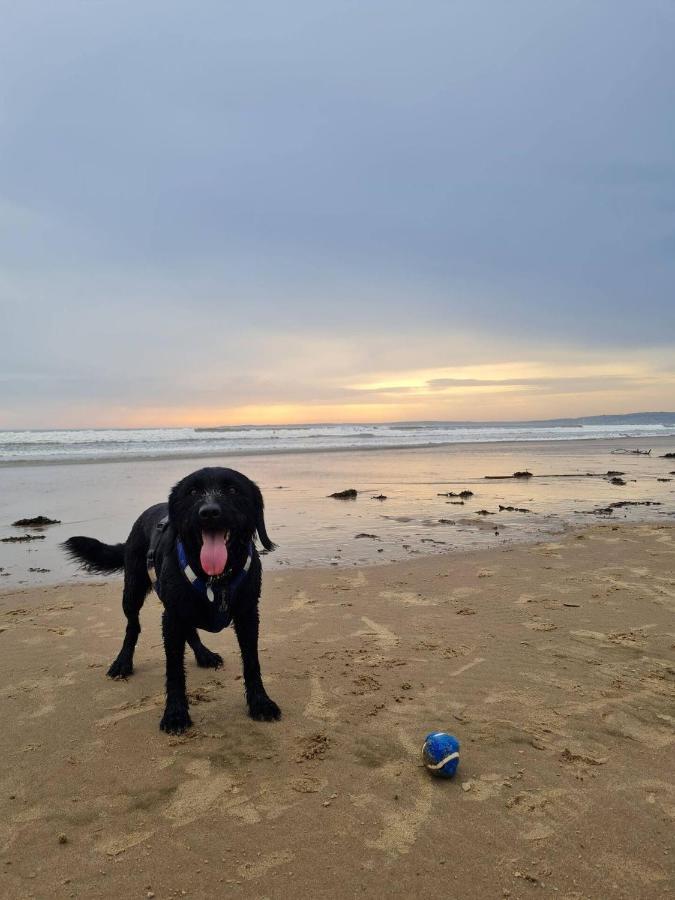 Old Road Cottage Pet Friendly Outdoors Beaches Neath Εξωτερικό φωτογραφία